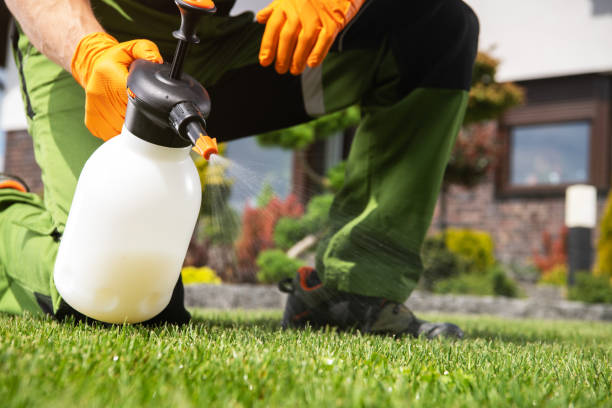 Pest Prevention Services in Ball Ground, GA