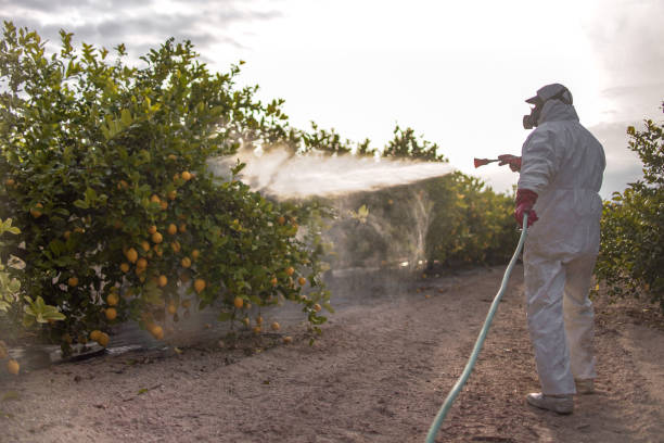 Professional Pest Control in Ball Ground, GA