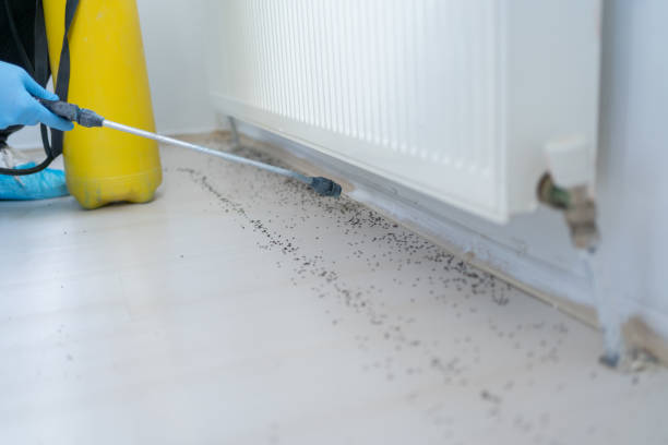 Pest Control for Restaurants in Ball Ground, GA